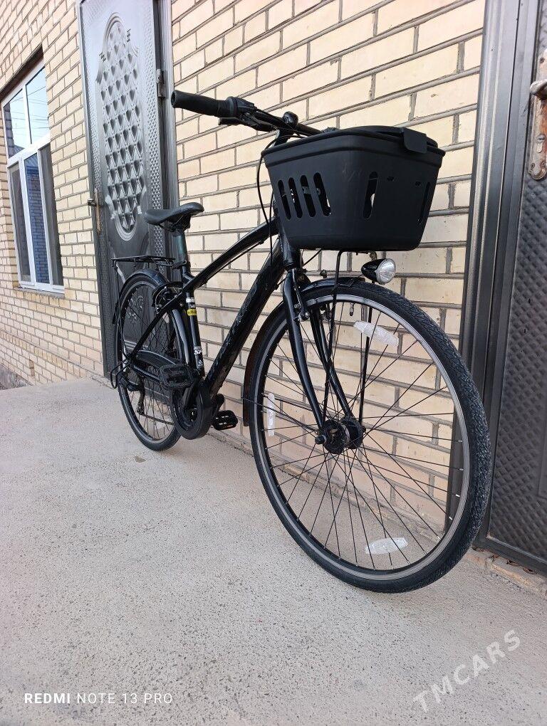 Office Press - Mary - img 2