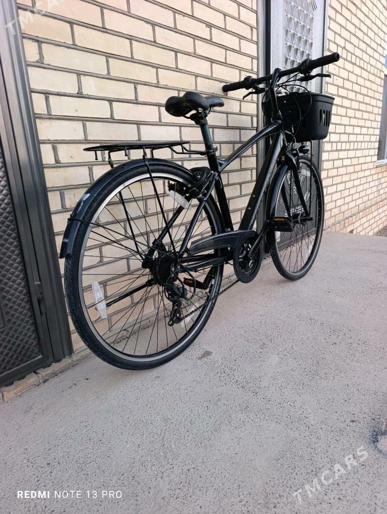 Office Press - Mary - img 3