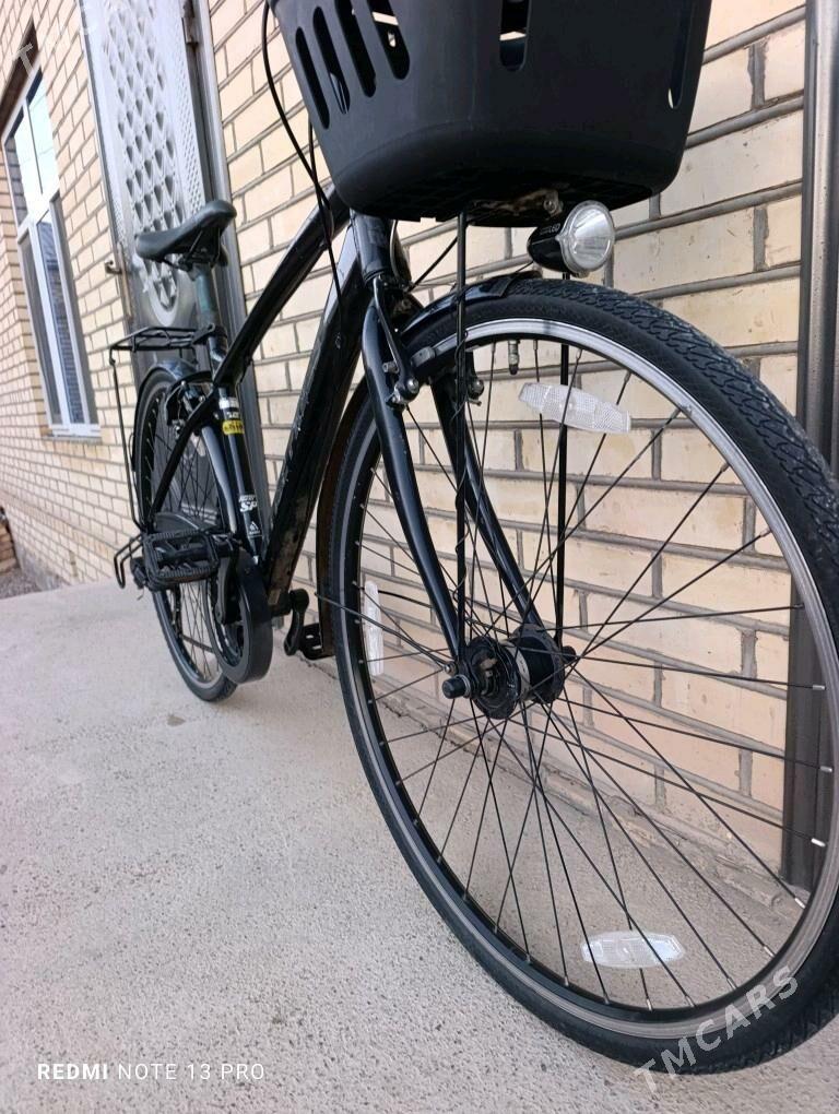 Office Press - Mary - img 4