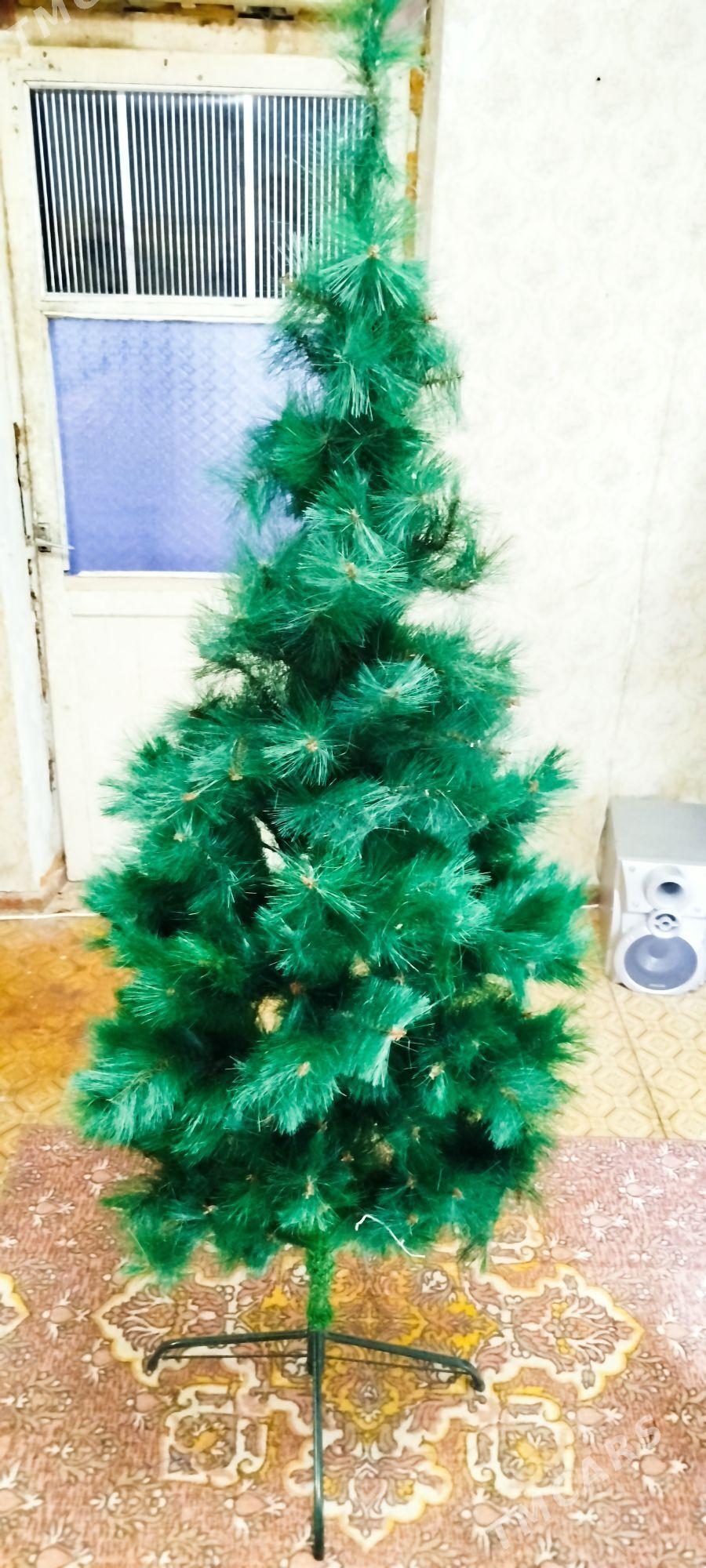 Ёлка  agajy2 метра - Aşgabat - img 2