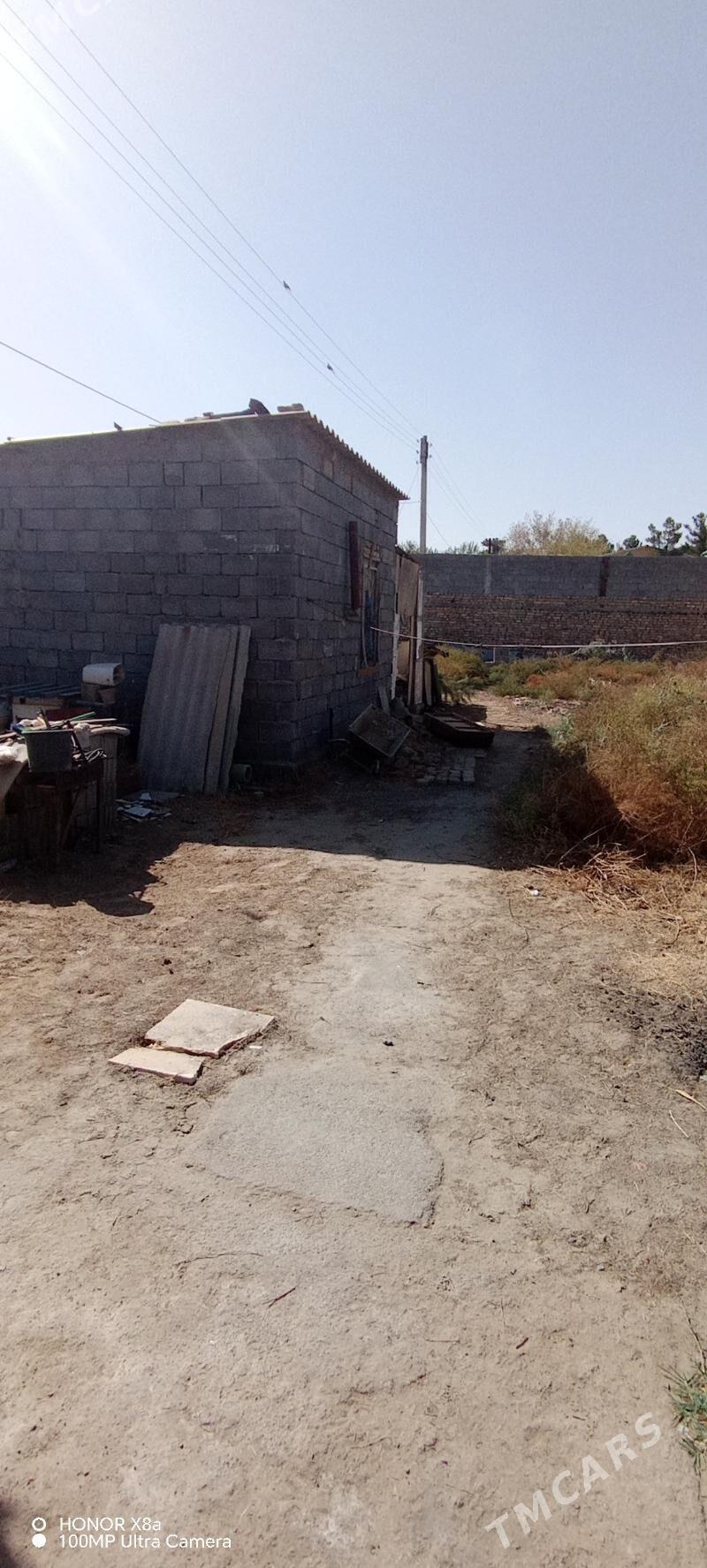 Anew Geolog Daca - Анев - img 2