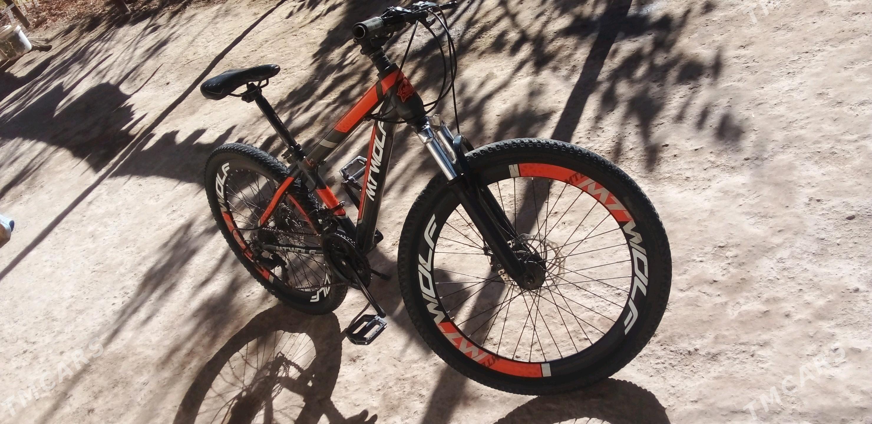 welik - Дашогуз - img 2