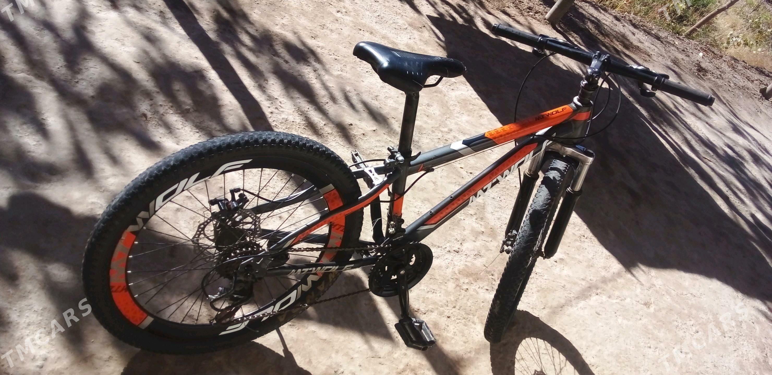 welik - Дашогуз - img 3