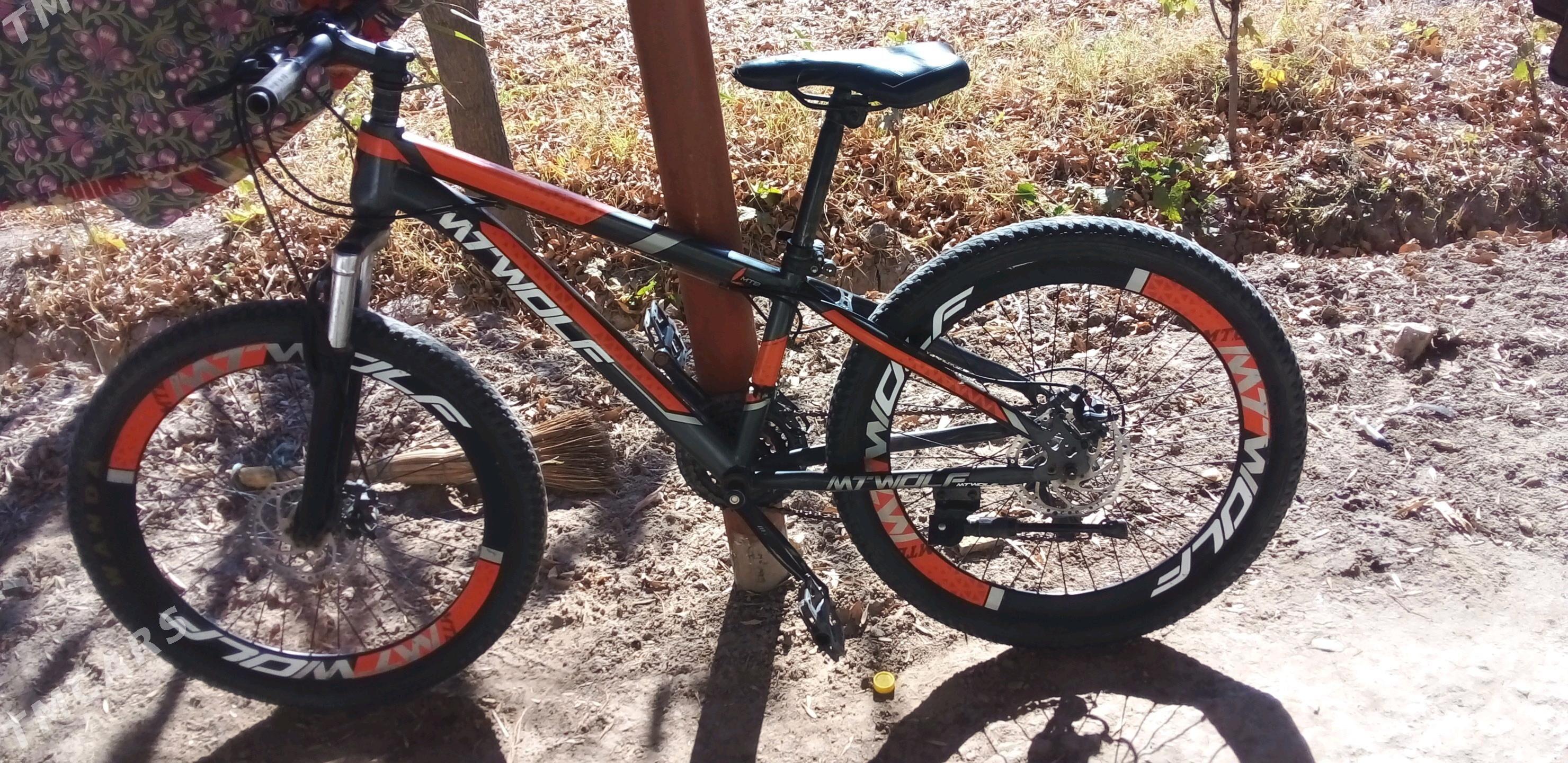 welik - Дашогуз - img 4