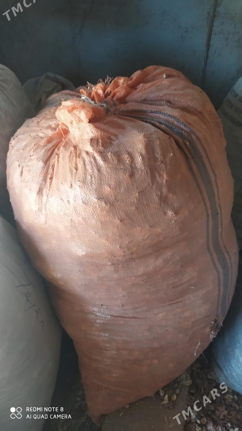 Çaňňalak - Теджен - img 3