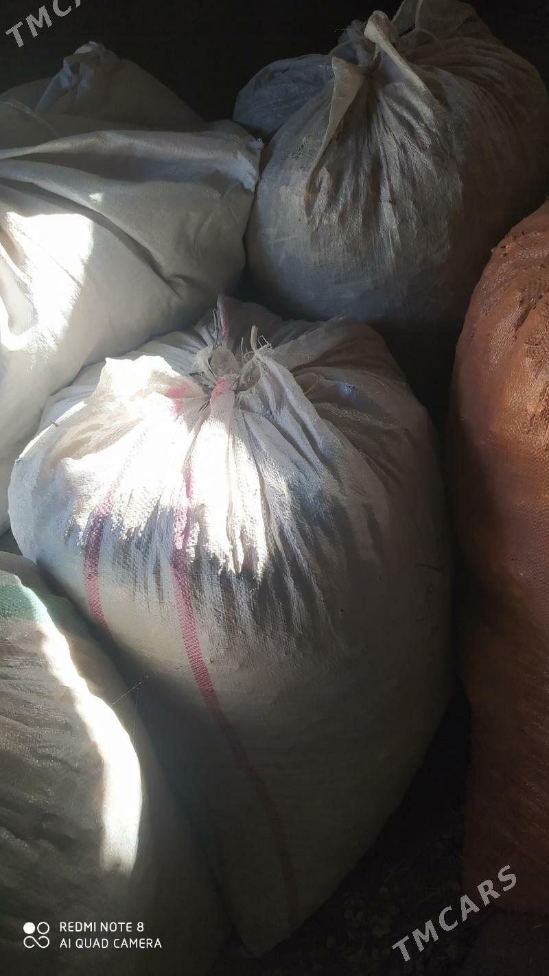 Çaňňalak - Теджен - img 2