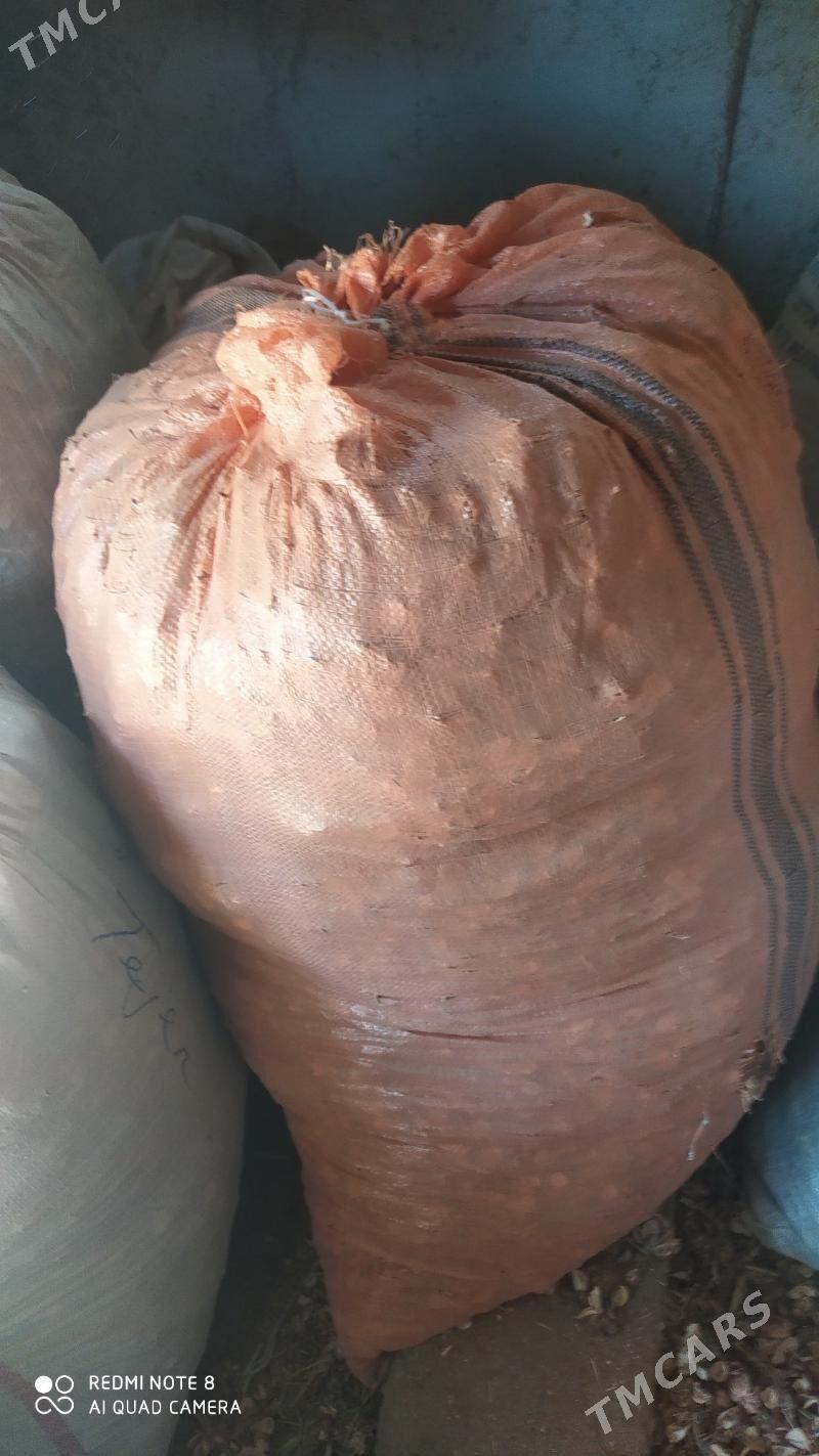 Çaňňalak - Теджен - img 4