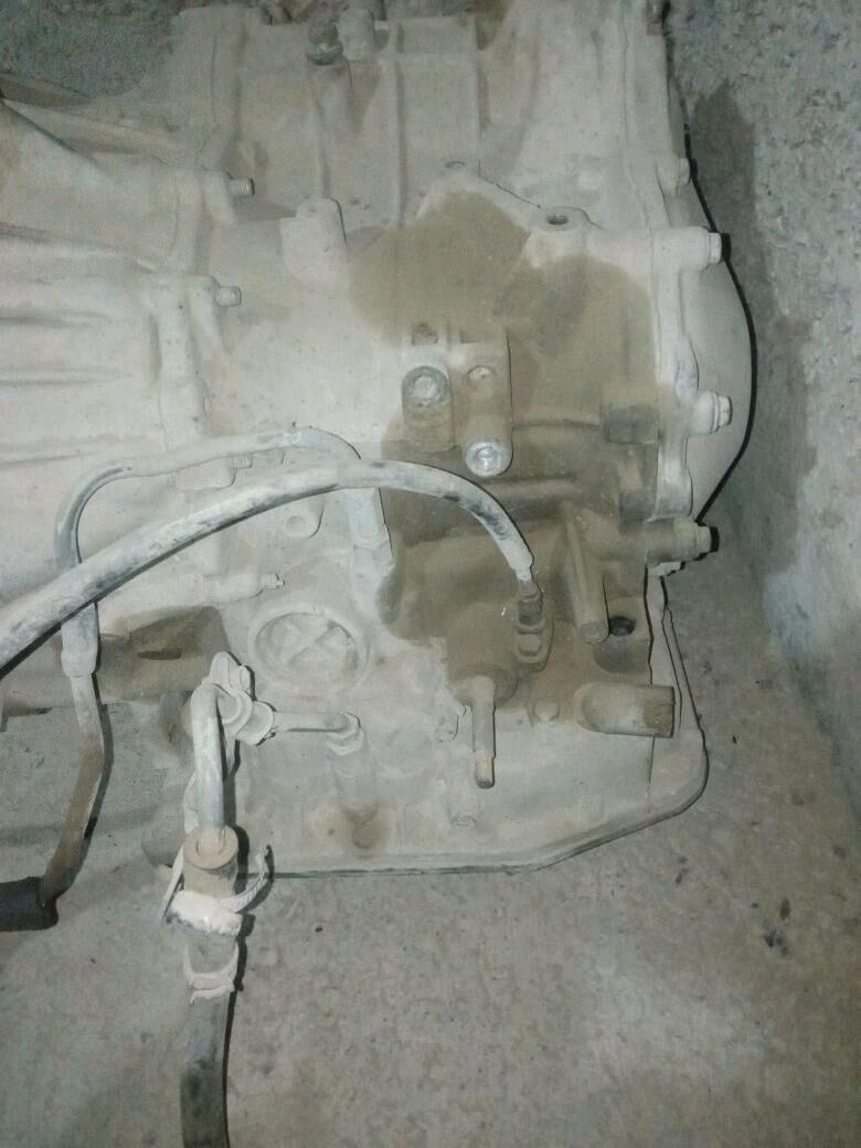 carina karobka zapjas ucin 800 TMT - Mary - img 2