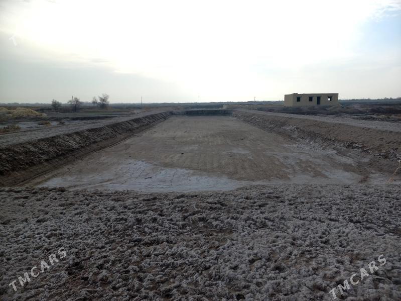 satlyk jaý - Кёнеургенч - img 3