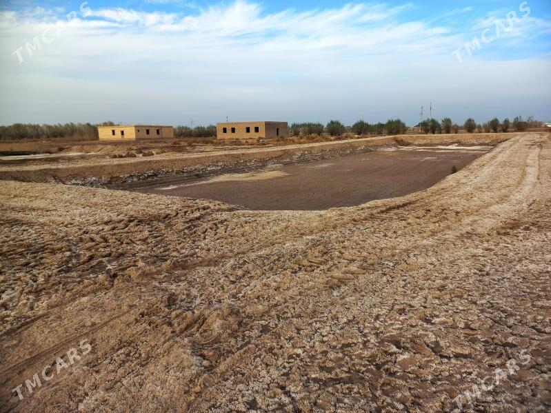 satlyk jaý - Кёнеургенч - img 4