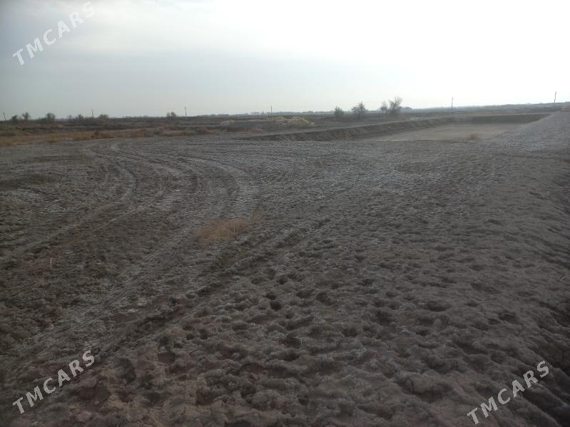 satlyk jaý - Кёнеургенч - img 8