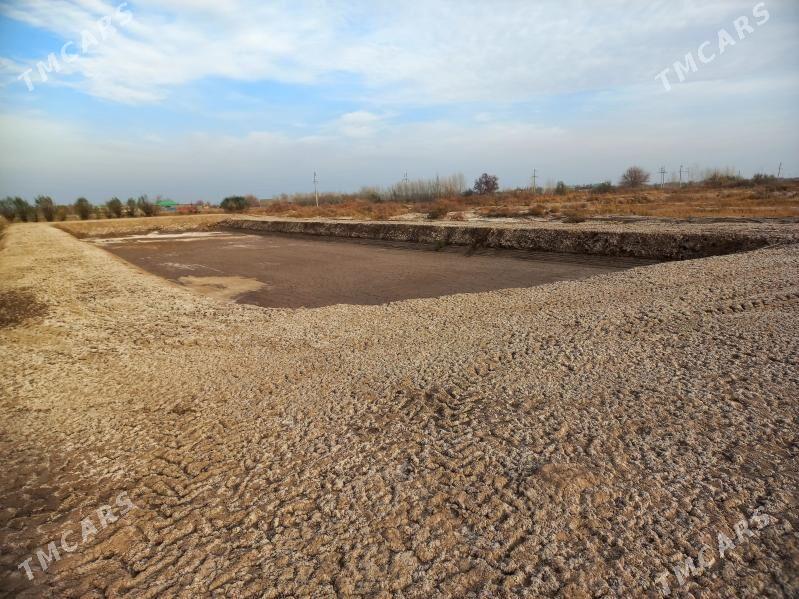 satlyk jaý - Кёнеургенч - img 5