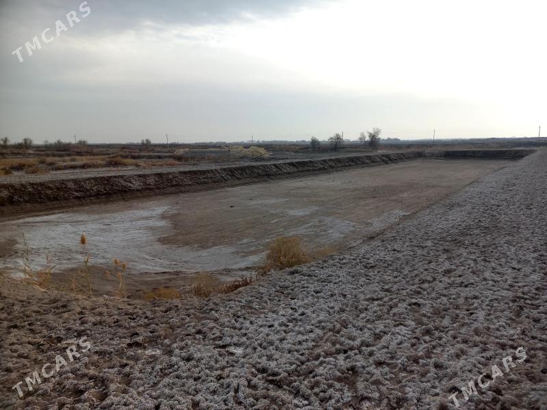 satlyk jaý - Кёнеургенч - img 6