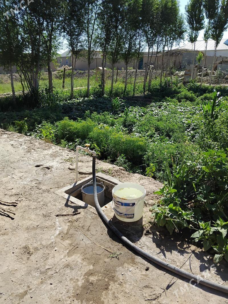 Satlyk jaý⁰ - етр. Туркменбаши - img 2