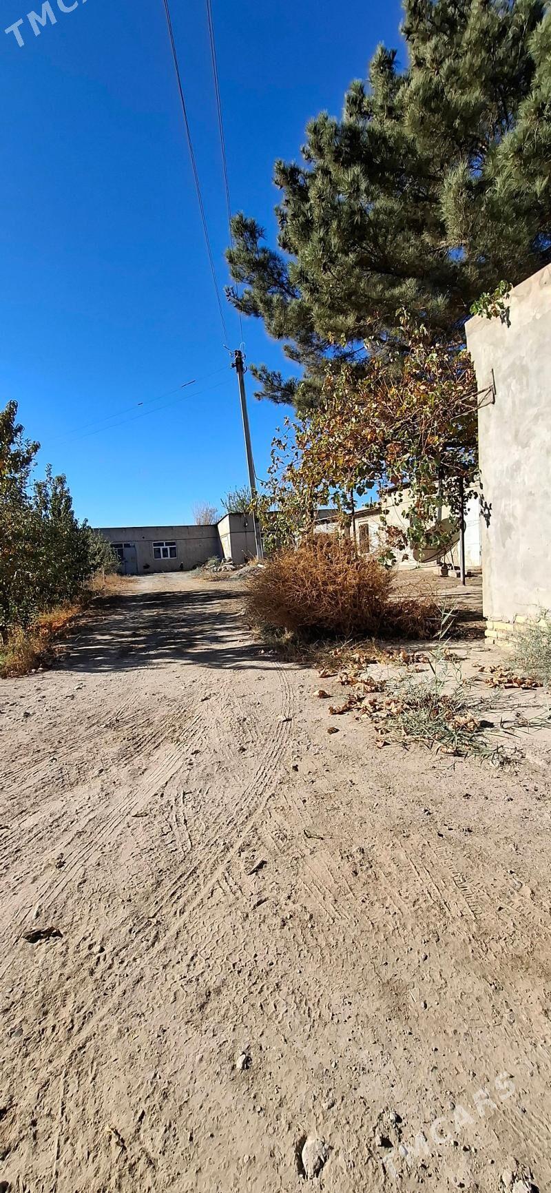 Tayyn mal saklaryaly demir seh - Çärjew - img 2