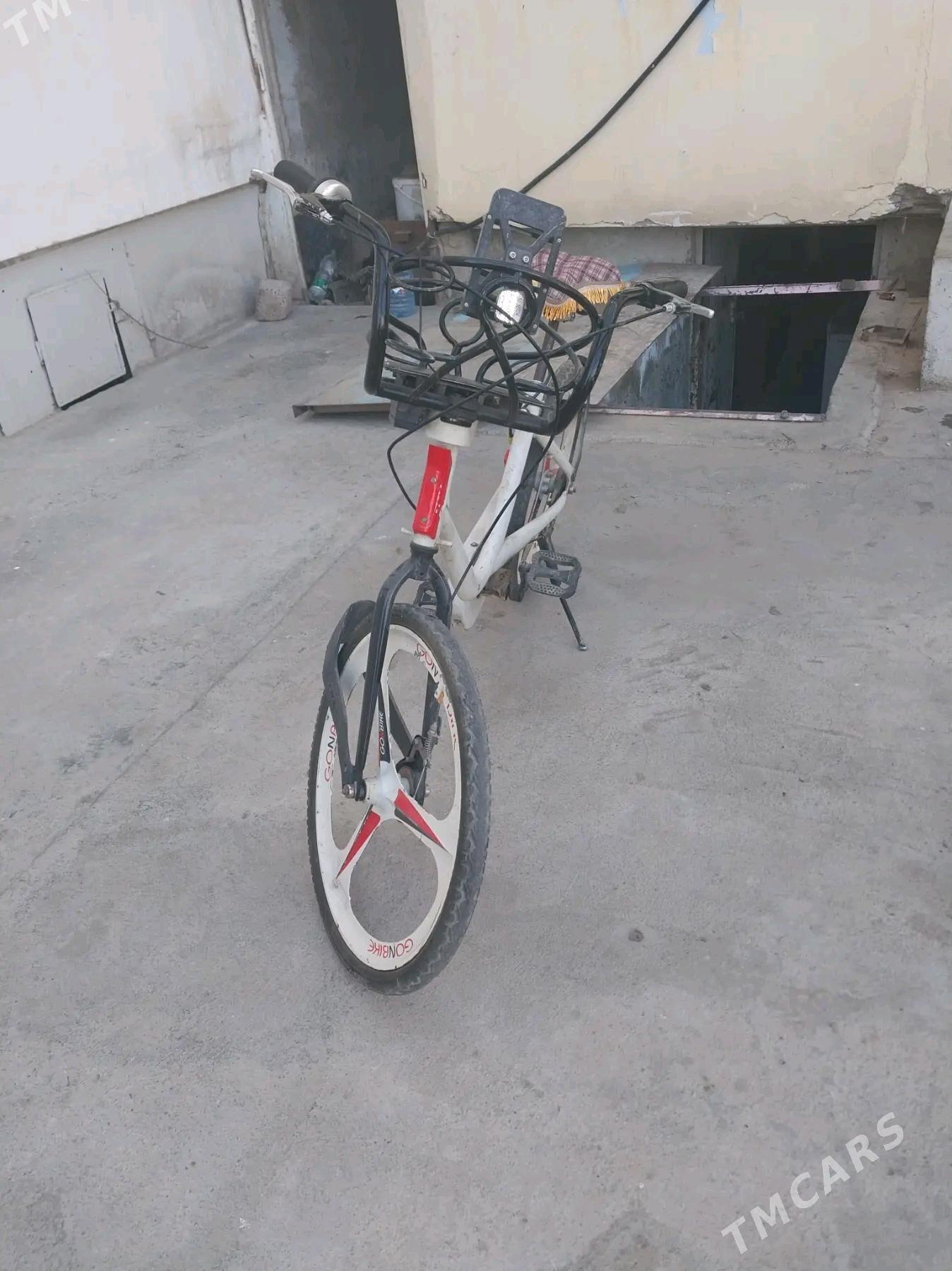 tigir - Büzmeýin GRES - img 2