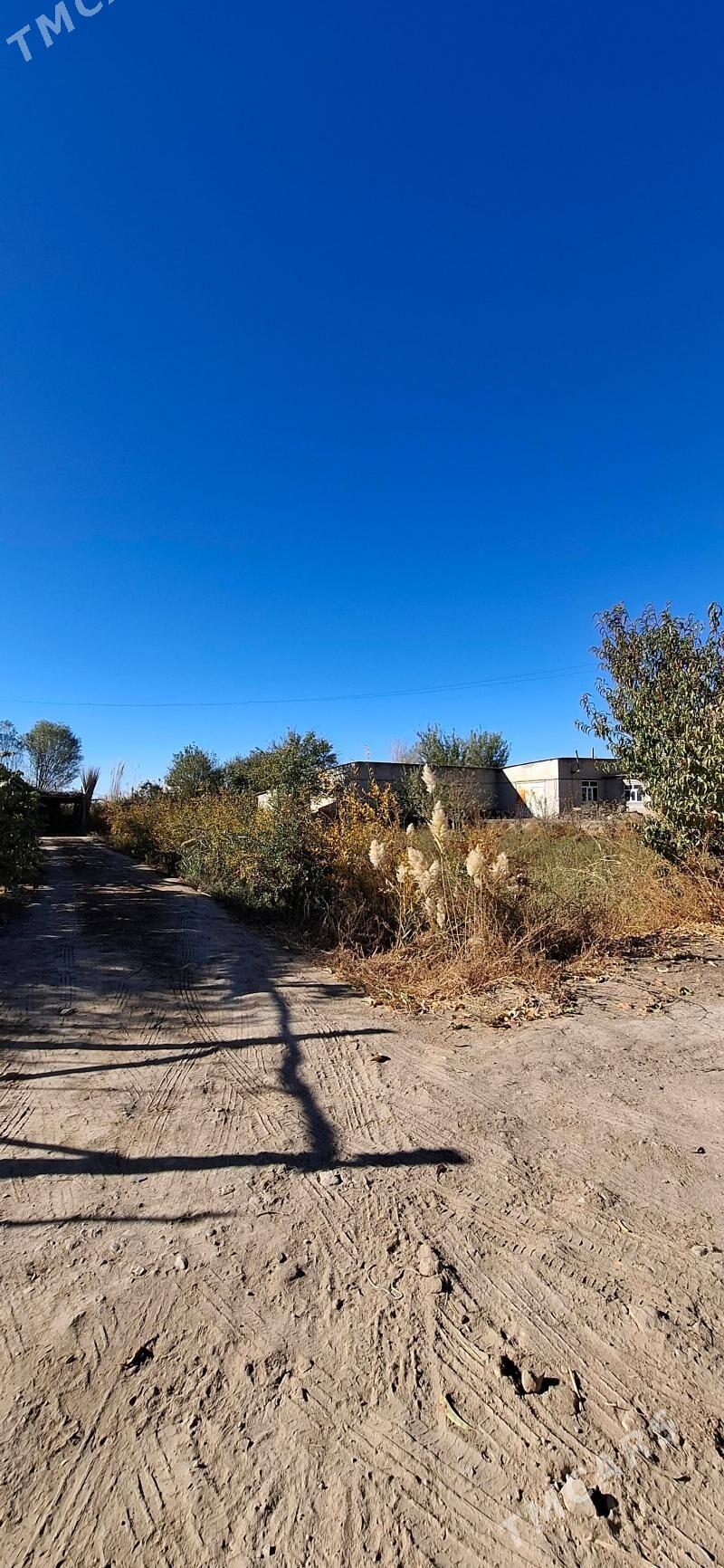 Tayyn mal saklaryaly demir seh - Çärjew - img 1