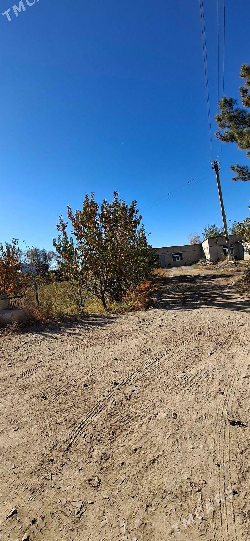 Tayyn mal saklaryaly demir seh - Çärjew - img 3