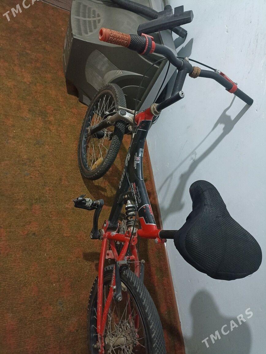 Rambo ️ - Дашогуз - img 2