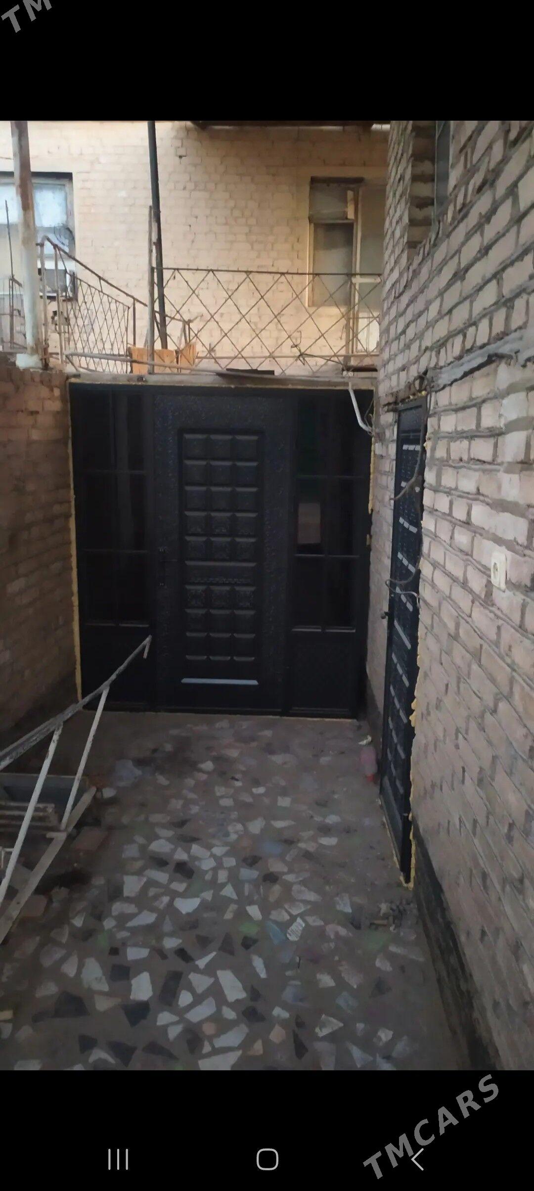 Satlyk jay - Mary - img 5