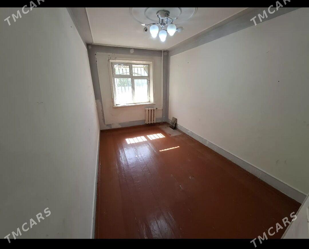 Satlyk jay - Mary - img 6