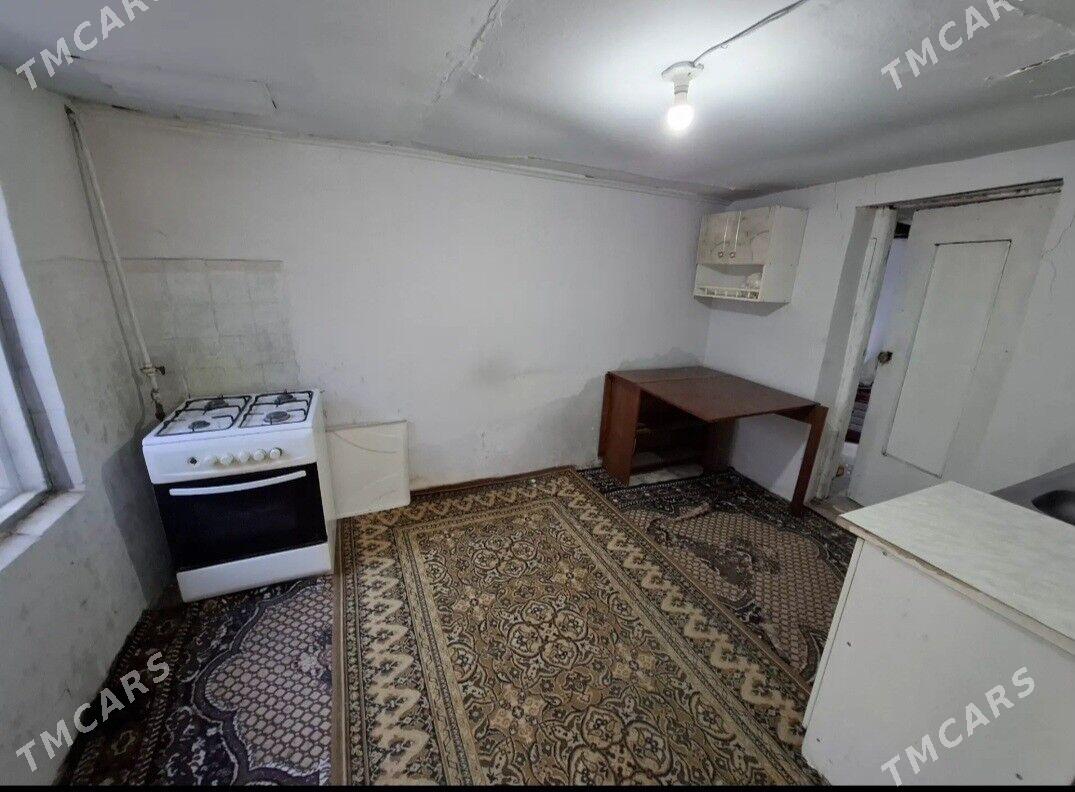 Satlyk jay - Mary - img 7