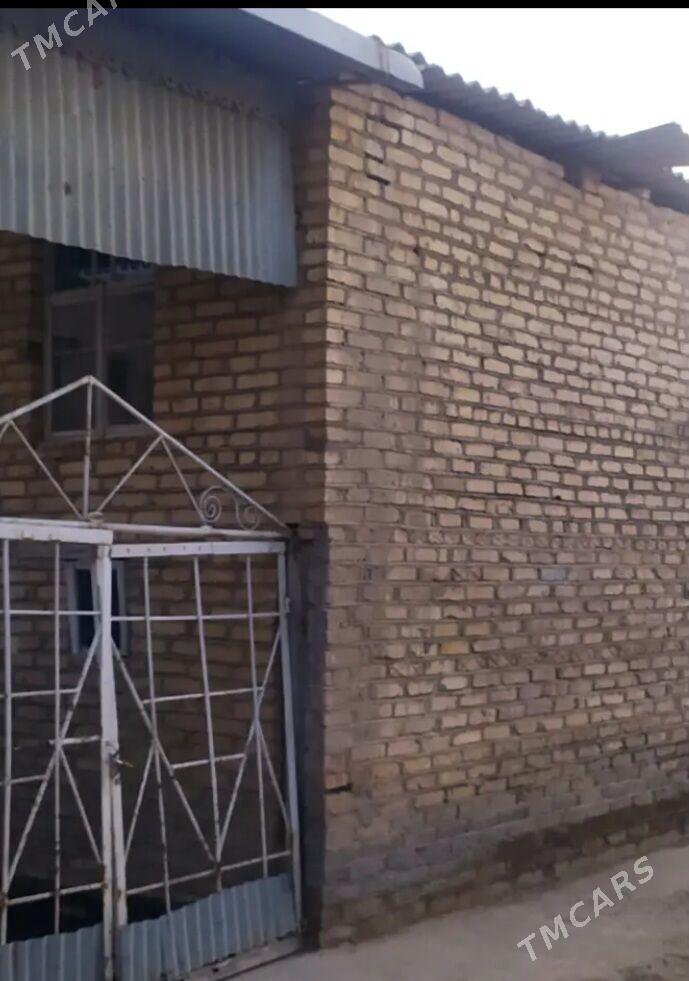 Satlyk jay - Mary - img 2