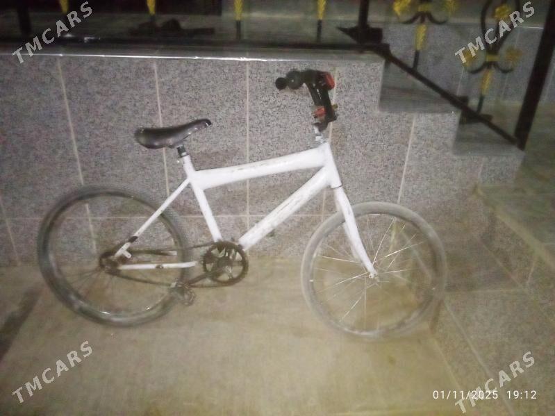 brawery tigir - Gökdepe - img 2