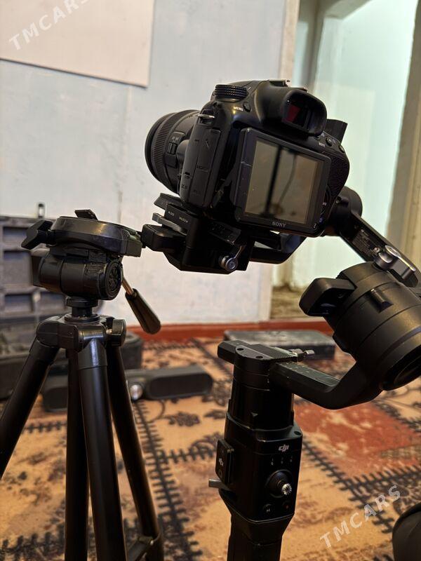 SONY A58 & Ronin S - Керки - img 4