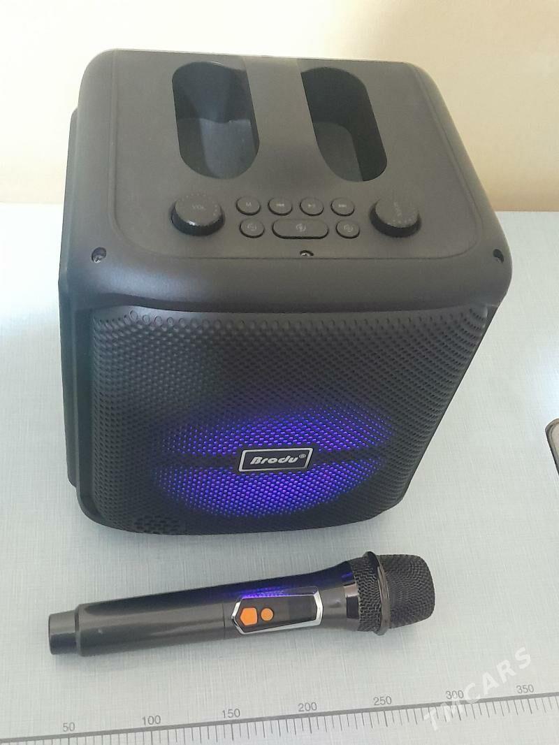 kalonka mikrafonly - Änew - img 4