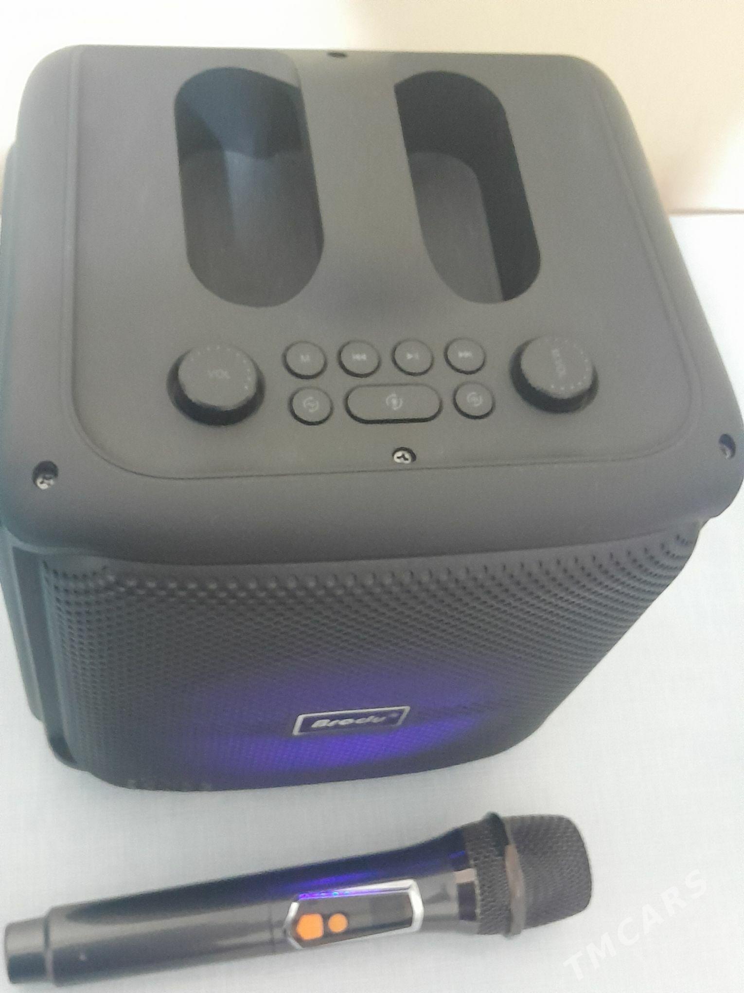 kalonka mikrafonly - Änew - img 3