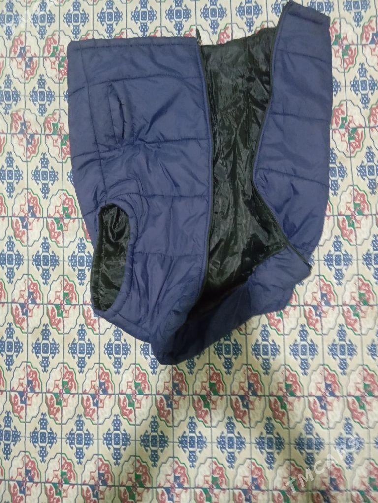 kurtga yeňsiz - Бекреве - img 2