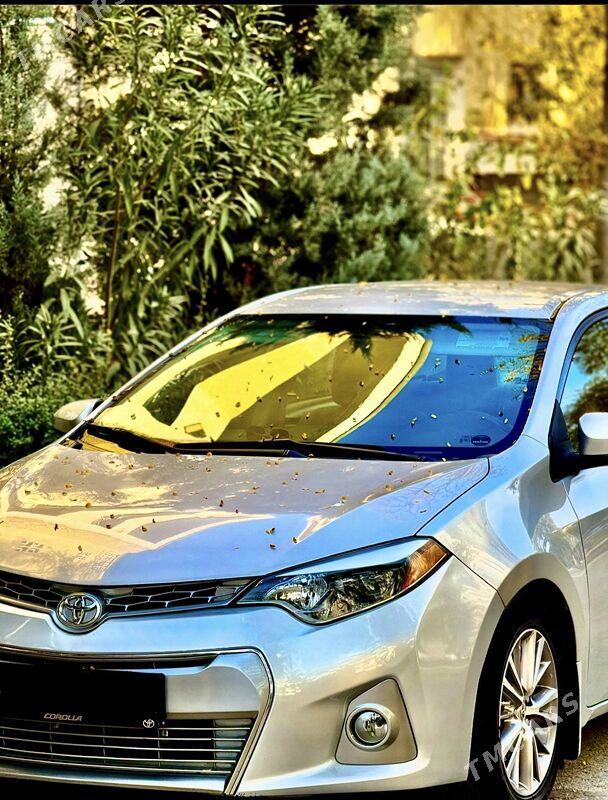 Toyota Corolla 2014 - 190 000 TMT - Aşgabat - img 2