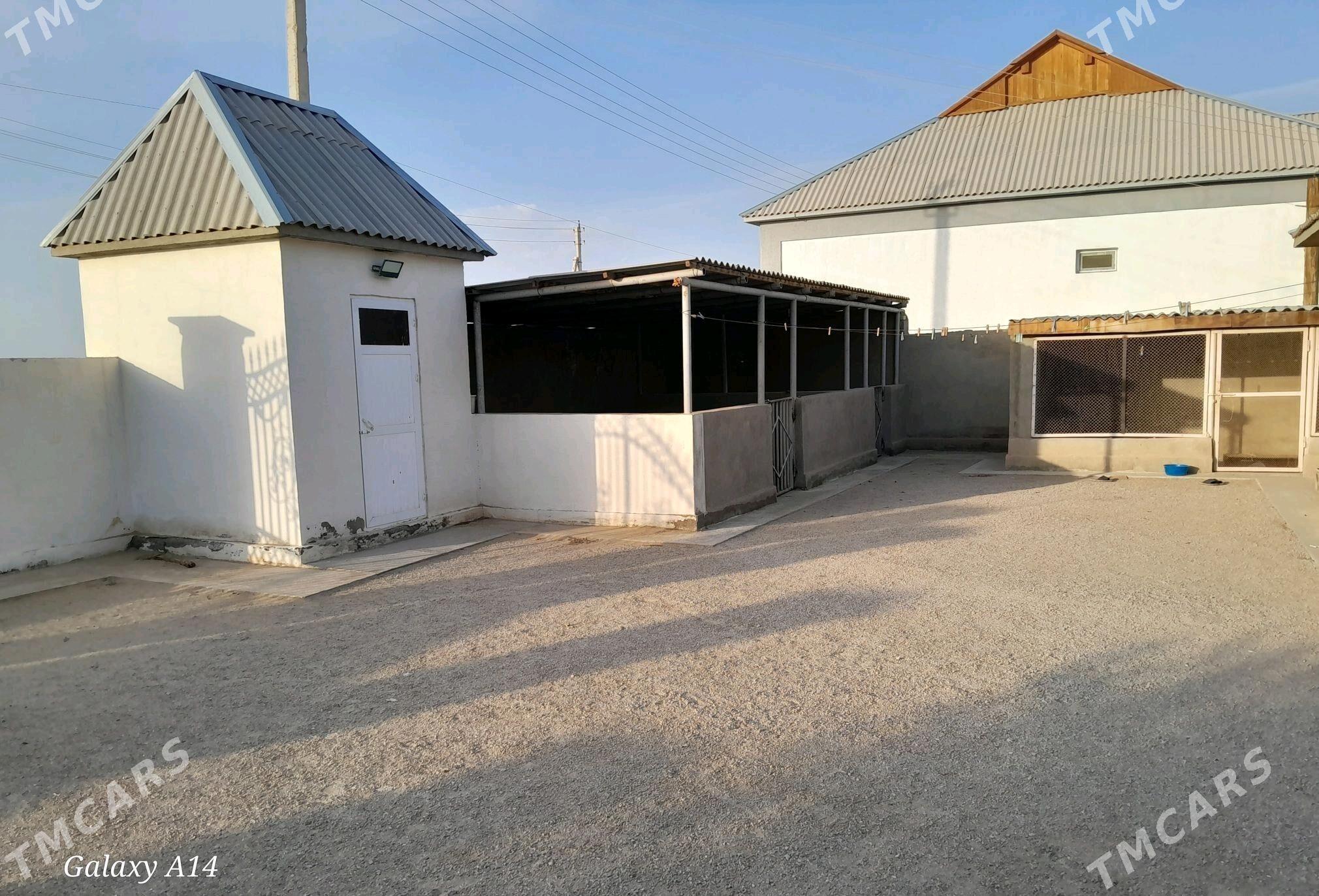 Jaÿ - Jebel - img 8