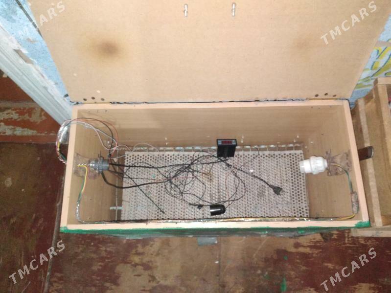 enkowator - Серахс - img 2