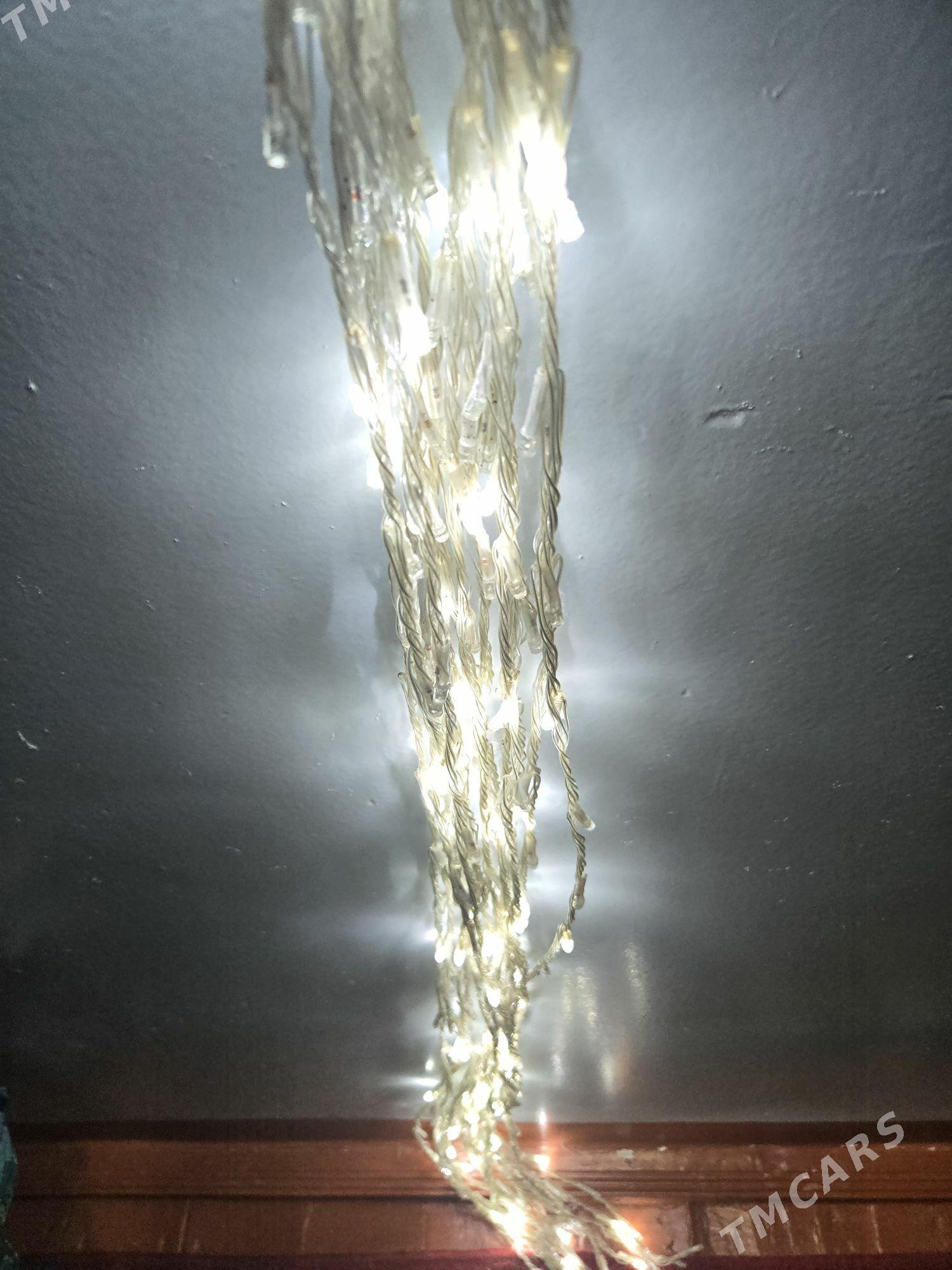 Bezeg ucin akma cyra - Mary - img 3