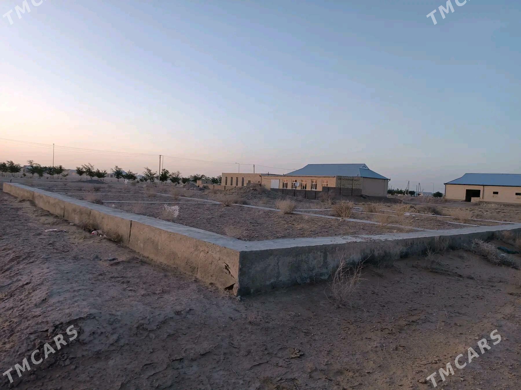 melek - Darganata - img 3