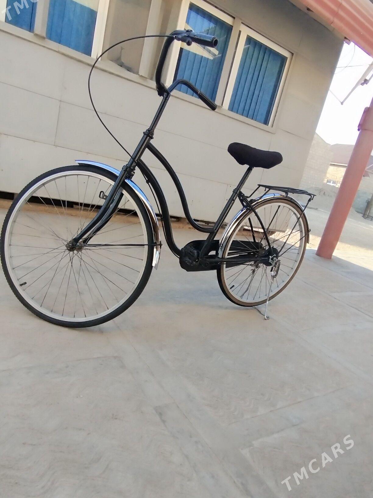 tigir - Gumdag - img 3