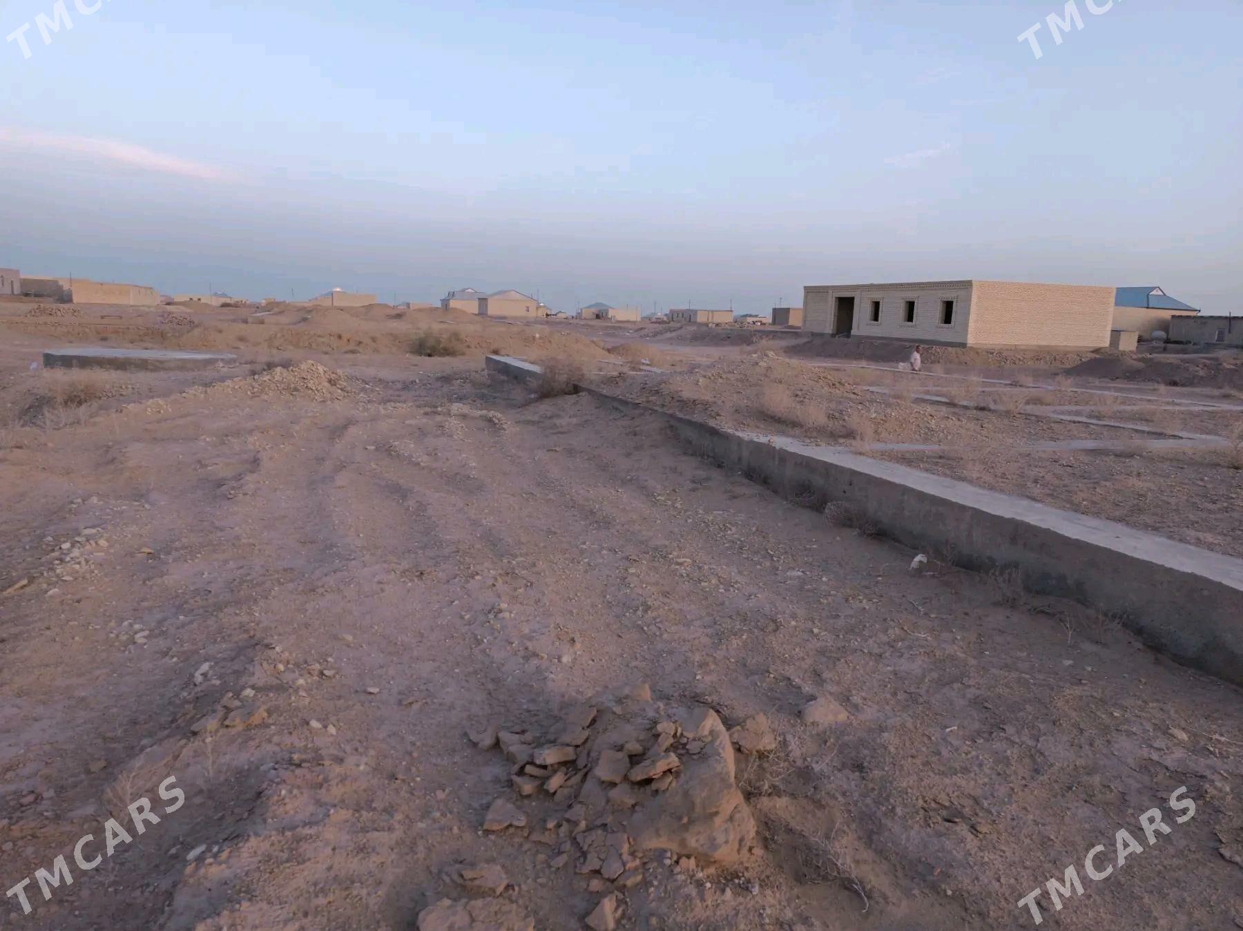 melek - Darganata - img 4