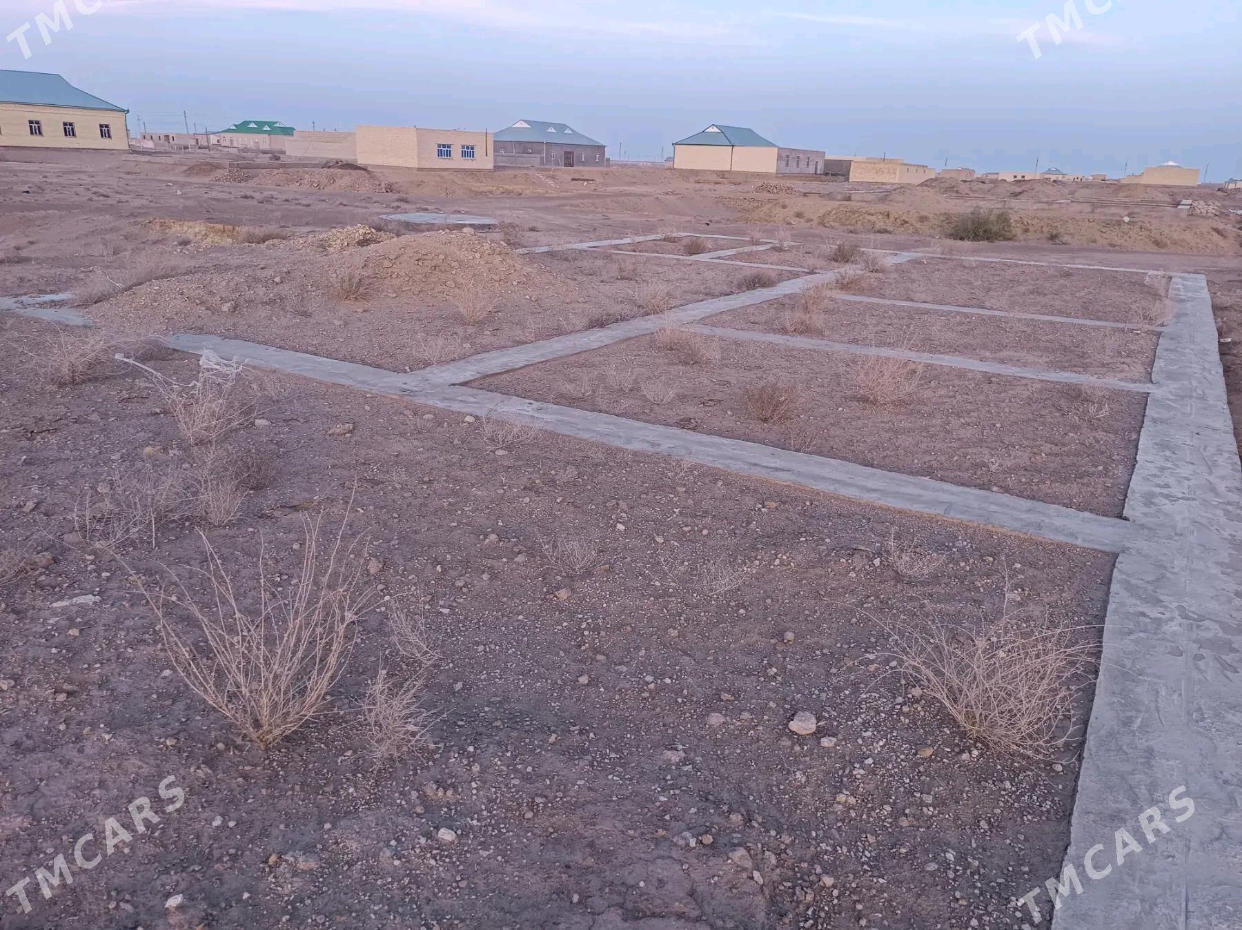 melek - Darganata - img 2