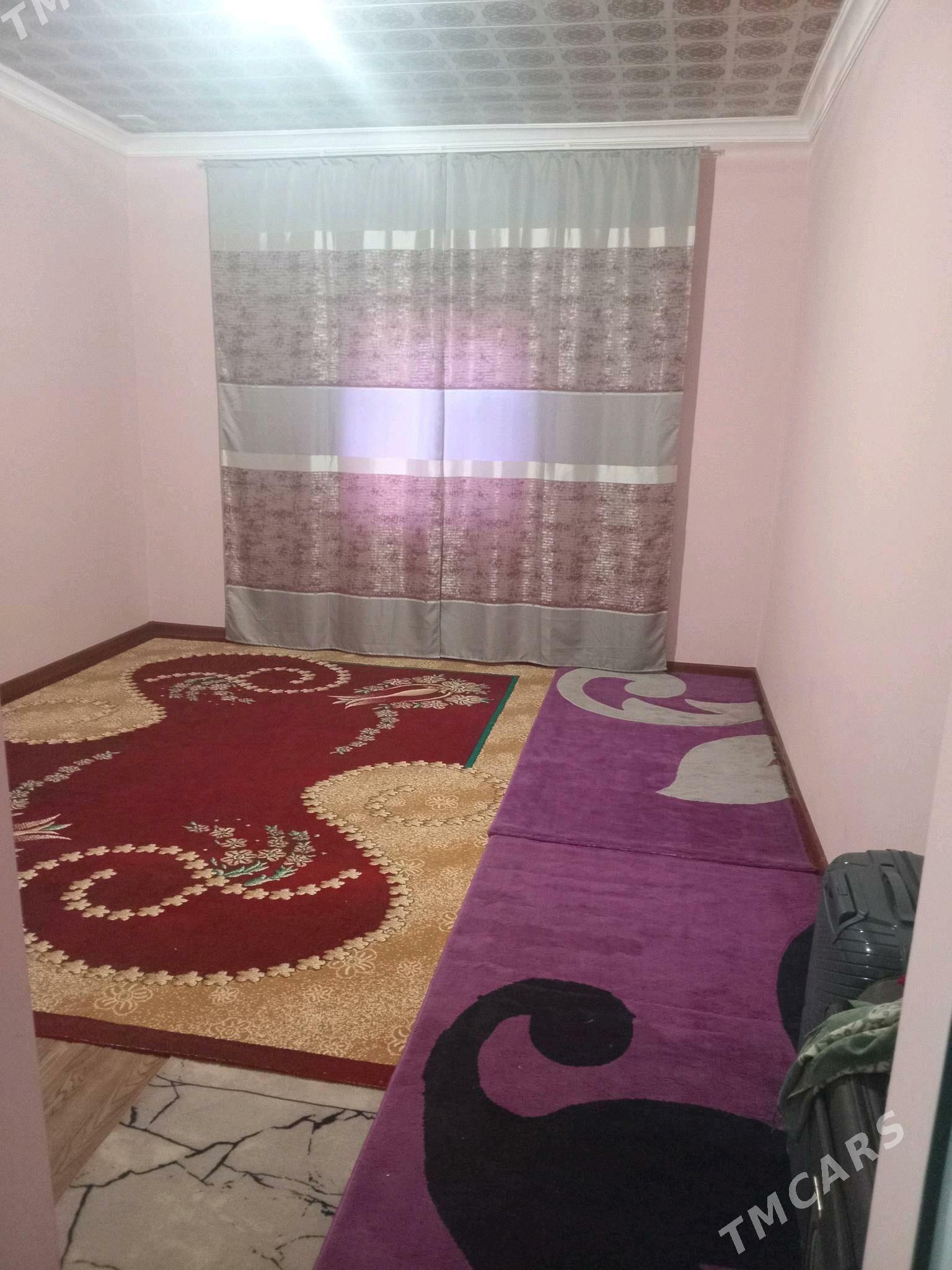 Satlyk Jay gysdagly - Ýolöten - img 6