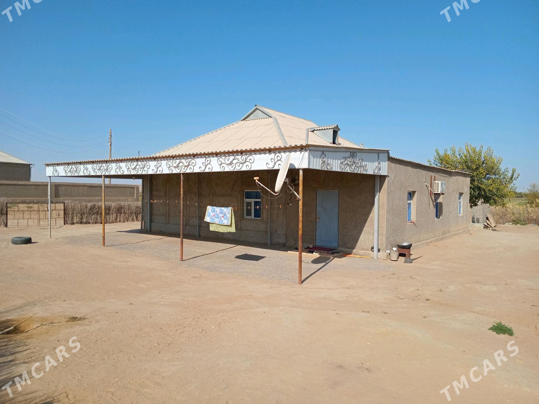 Satlyk Jay gysdagly - Ýolöten - img 1