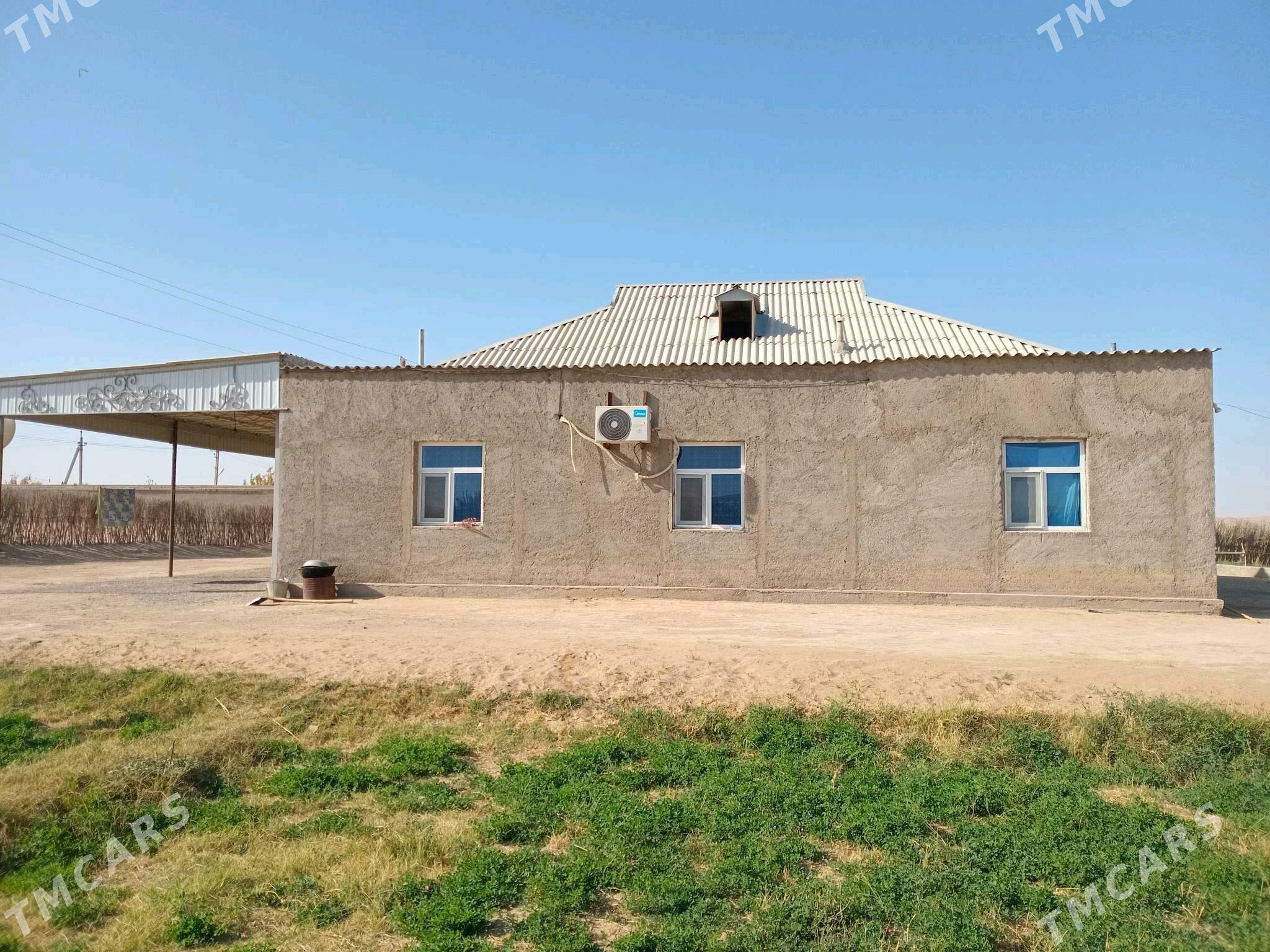 Satlyk Jay gysdagly - Ýolöten - img 2