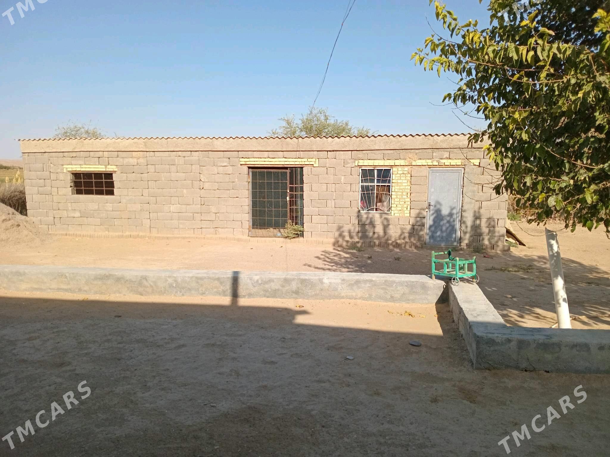 Satlyk Jay gysdagly - Ýolöten - img 3