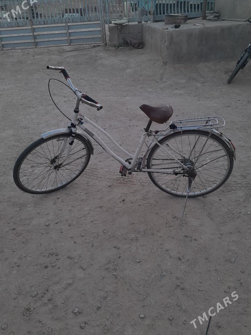 Tigir - Jebel - img 3