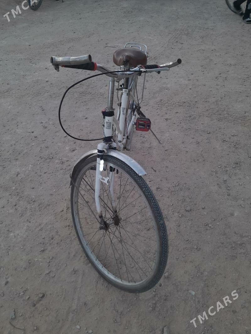 Tigir - Jebel - img 1