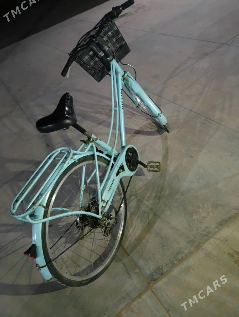 Welik 26 - Сакарчага - img 4