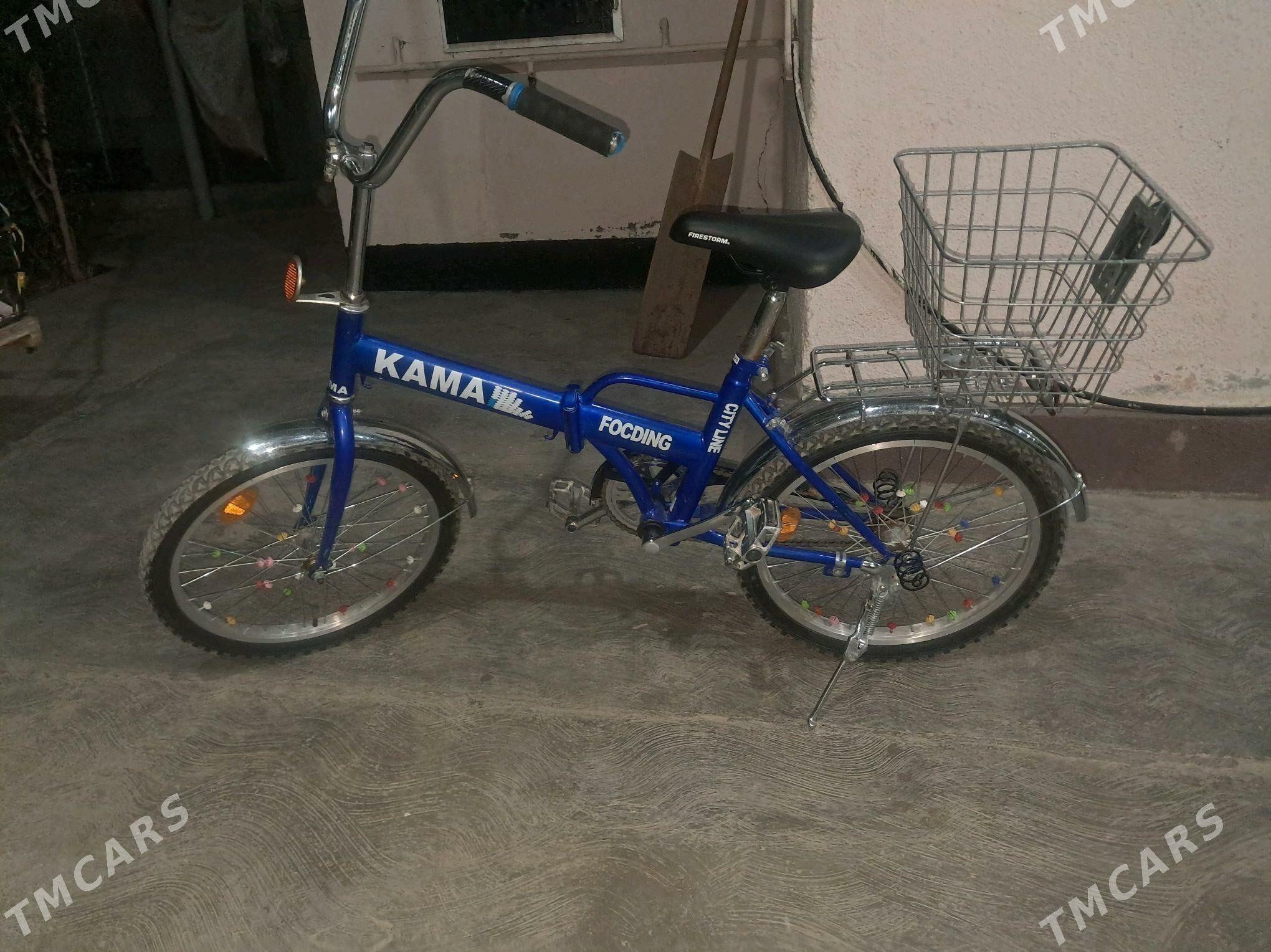 tigir kama - Bagyr - img 4