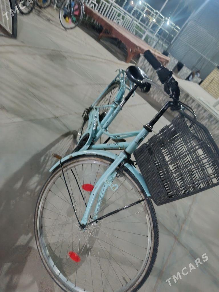 Welik 26 - Сакарчага - img 3