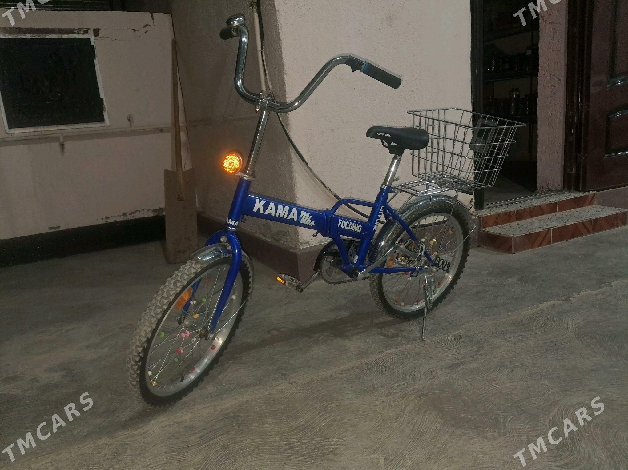 tigir kama - Bagyr - img 3